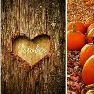 Meet your Posher, Keri